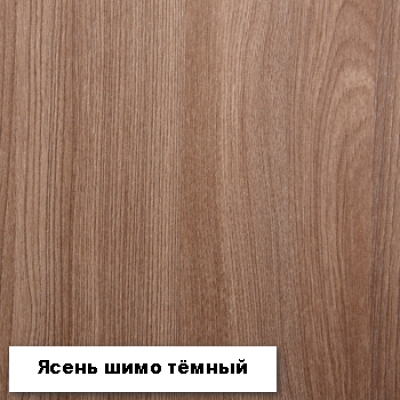 Шкаф-купе №19 "Инфинити" 1700