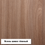 Шкаф-купе №19 "Инфинити" 1700