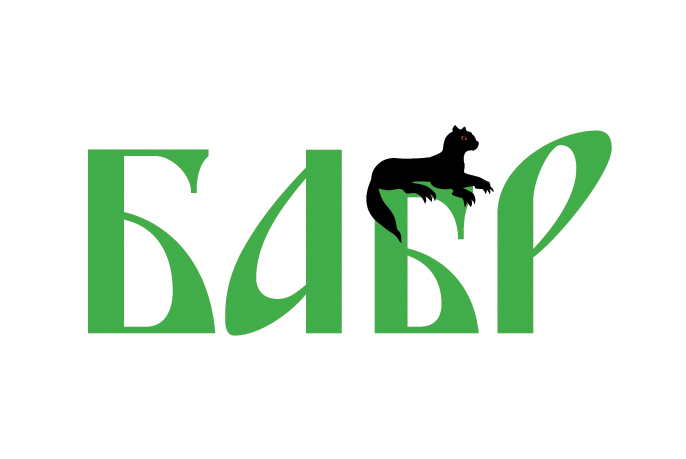 Бабр
